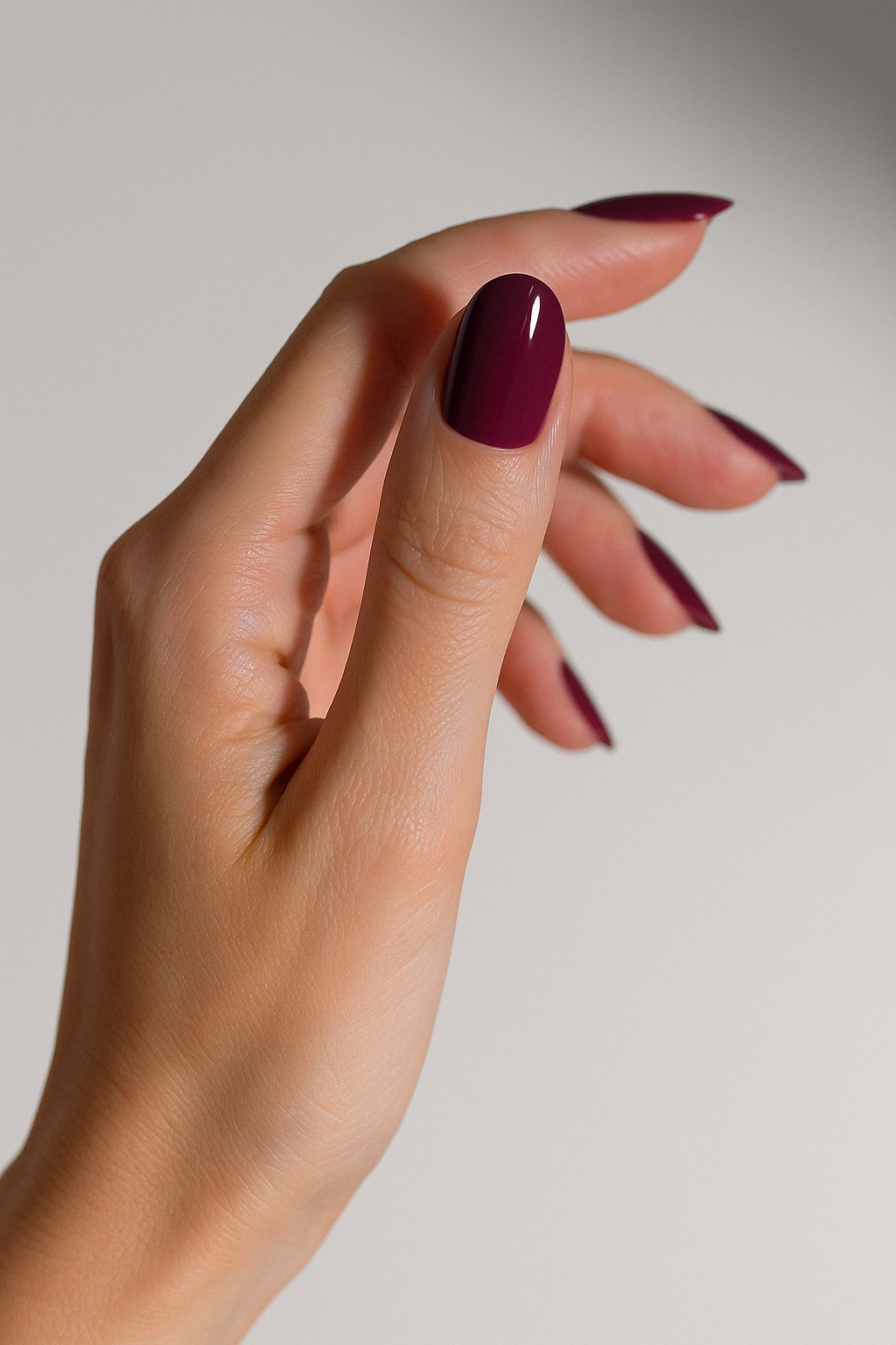 Pourpre Royal UV