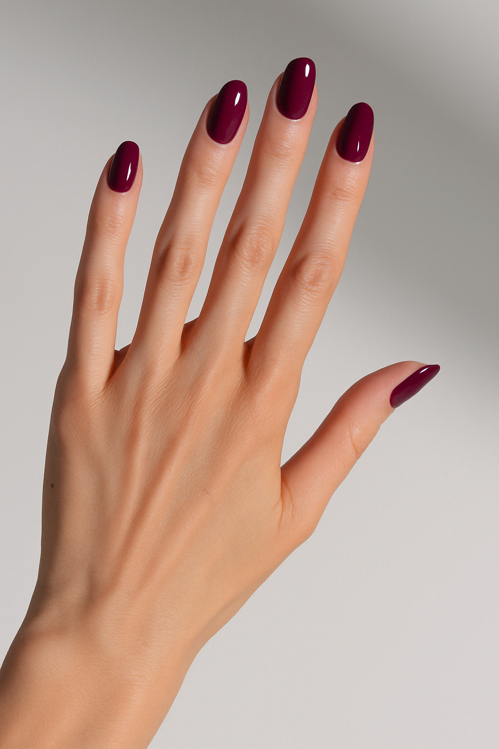 Pourpre Royal UV